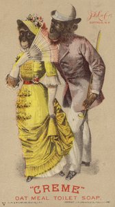 Schimpansen in Kleidung von American School