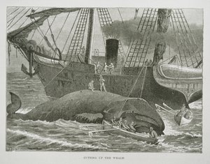 Zerlegen des Wals, aus The American Whale Fishery, ca. 1850 von American School