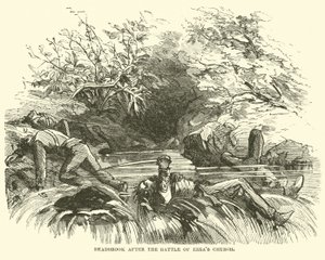 Deadbrook nach der Schlacht von Ezras Kirche, August 1864