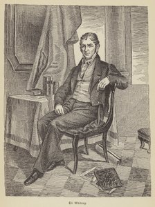 Eli Whitney (Stich) von American School