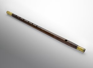 Querflöte, um 1862