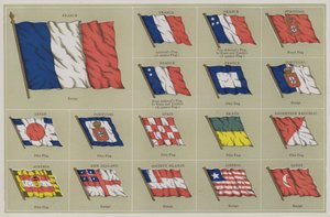 Flaggen von American School