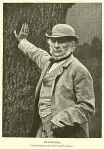 Gladstone von American School