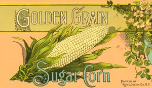 Golden Grain Zuckermais Produktetikett, ca. 1890
