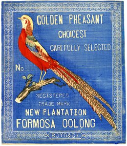 Goldener Fasan, sorgfältig ausgewählt, Nr. eingetragene Handelsmarke Neue Plantage Formosa Oolong