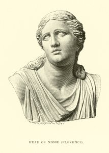 Kopf der Niobe, Florenz von American School