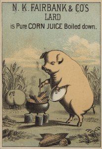 Schwein kocht Mais, um Schmalz zu machen von American School
