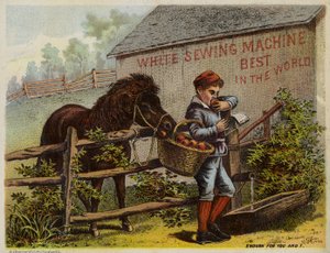 Pferd und Junge essen Äpfel von American School