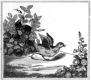 Illustration aus der bemerkenswerten Geschichte von Chicken Little, 1840