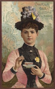 Dame rührt in der Teetasse