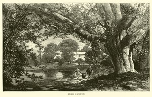 In der Nähe von Kanton von American School