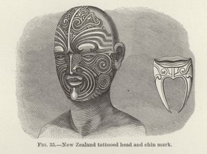Tätowierter Kopf und Kinnzeichen aus Neuseeland von American School