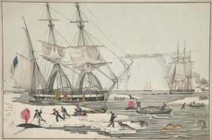 Nordsee-Walfang, veröffentlicht 1860 (Farblithografie)