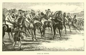 Eichen in Epsom von American School