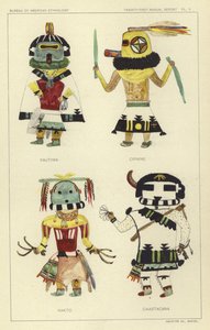 Pautiwa, Cipikne, Hakto, Caiastacana von American School
