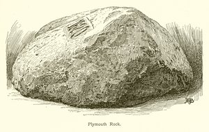 Plymouth Rock von American School