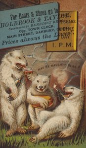Eisbären trinken und rauchen von American School