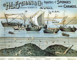 Plakat, das H.L. Ettman & Co., Importeure von Schwämmen und Chamois, 1897 bewirbt