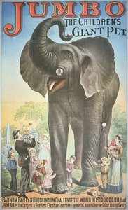 Plakat für 