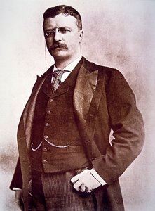 Präsident Theodore Roosevelt (Lithografie)