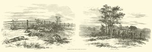 Szenen auf dem Feld nach der Schlacht, September 1862