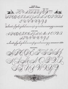 Standardbuchstaben; Damenhand; Ganze Armkapitalien von American School