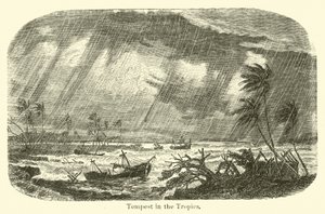 Sturm in den Tropen von American School