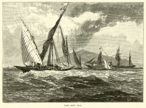 Das Rote Meer von American School