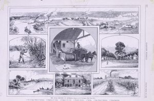 Die Zuckerindustrie von Louisiana