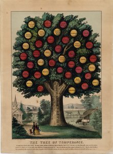 Der Baum der Mäßigkeit von American School