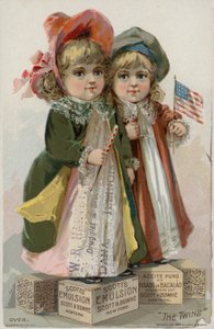 Die Zwillinge von American School