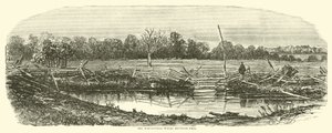 Das Weizenfeld, wo Reynolds fiel, Juli 1863