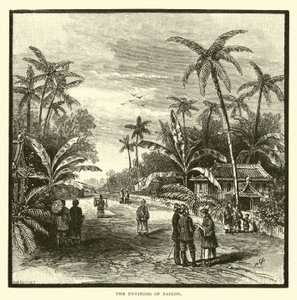 Die Umgebung von Saigon von American School