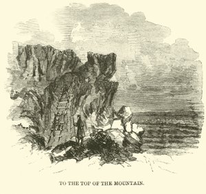 Zum Gipfel des Berges, November 1863