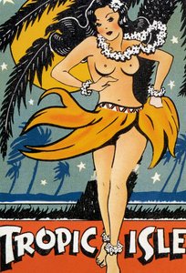 Tropeninsel Poster von American School