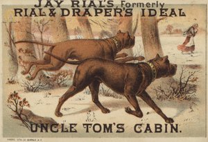 Zwei Hunde im Wald