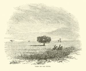 Ansicht auf den Teche, April 1863 von American School