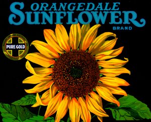 Vintage Sonnenblumen-Fruchtkistenetikett von American School