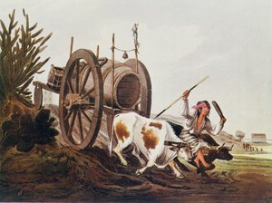 Wagen mit Wasser, reproduziert aus Vidals malerischen Illustrationen von Buenos Aires und Montevideo, veröffentlicht 1820, aus Die Romanze des Rio de la Plata, Bd. I, von W. H. Koebel, 1914 von American School