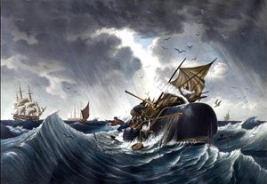 Wal zerstört Walfangschiff, ca.1875