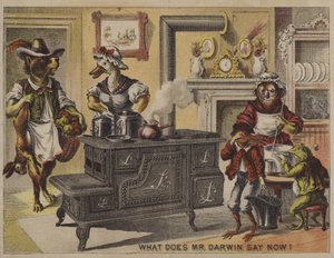 Was sagt Mr. Darwin jetzt? von American School