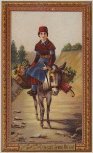 Frau reitet auf Esel von American School