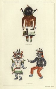Wukokoti, Kohonino von American School