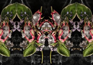 Eve_01, 2016