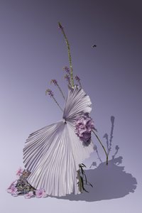 Ikebana 01, 2018
