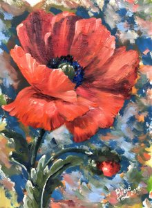 Lebendige Rote Mohnblume