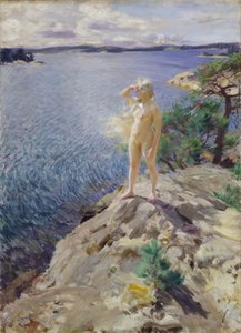 Auf den Felsen, Junge Frau nackt den Horizont betrachtend am Meer