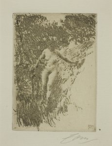 Reisig von Anders Leonard Zorn