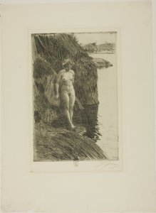 Abgrund von Anders Leonard Zorn