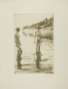 Flach von Anders Leonard Zorn
